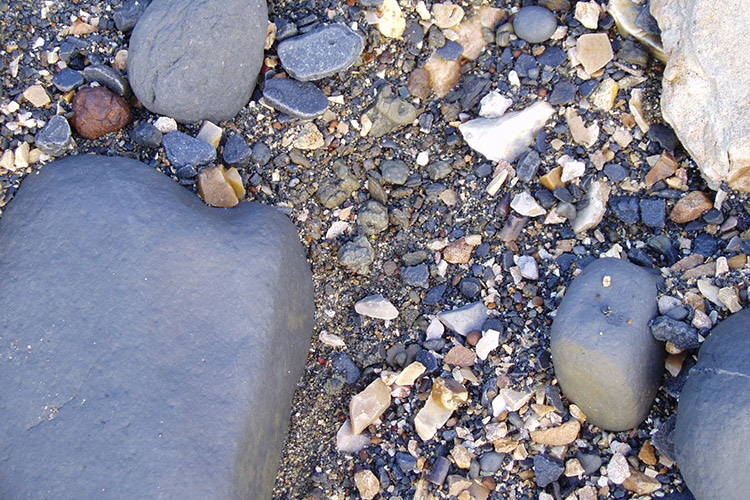 Lyme Regis Fossil Hunting