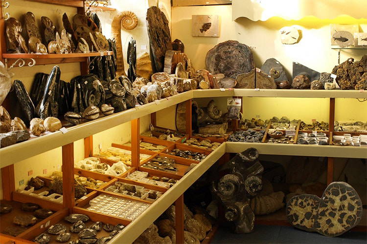Fossil Shop stock